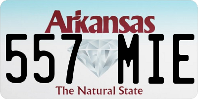 AR license plate 557MIE
