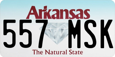 AR license plate 557MSK