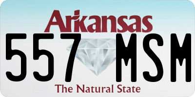 AR license plate 557MSM