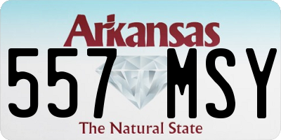 AR license plate 557MSY