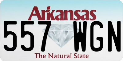 AR license plate 557WGN
