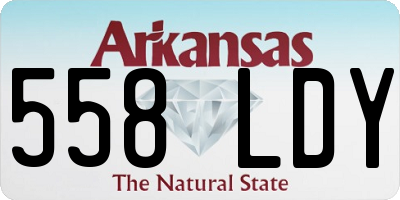 AR license plate 558LDY