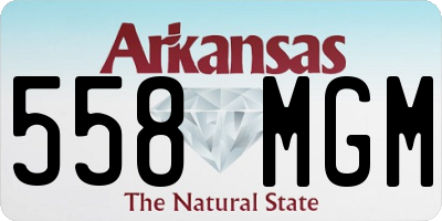 AR license plate 558MGM