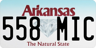 AR license plate 558MIC