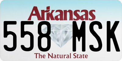 AR license plate 558MSK