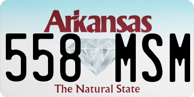 AR license plate 558MSM