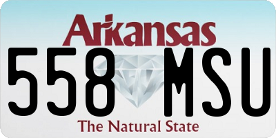 AR license plate 558MSU