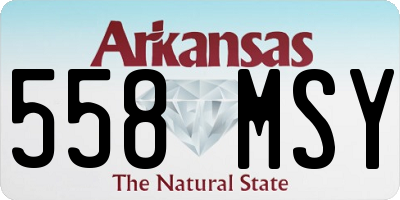 AR license plate 558MSY