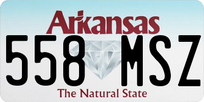 AR license plate 558MSZ