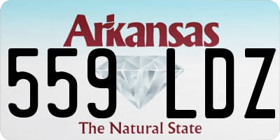 AR license plate 559LDZ