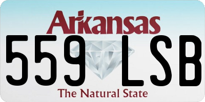 AR license plate 559LSB