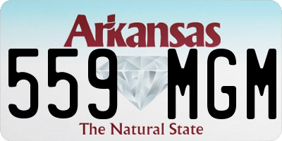 AR license plate 559MGM