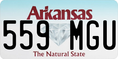 AR license plate 559MGU