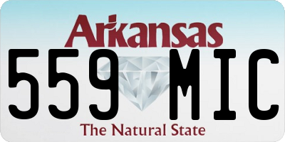 AR license plate 559MIC