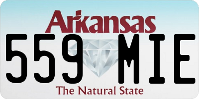 AR license plate 559MIE