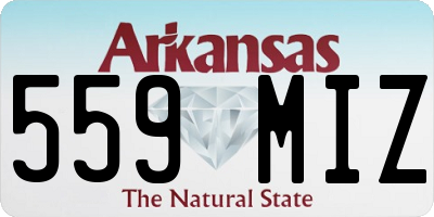 AR license plate 559MIZ