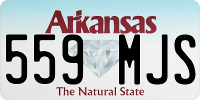 AR license plate 559MJS