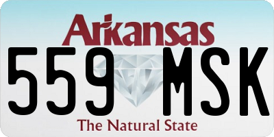 AR license plate 559MSK