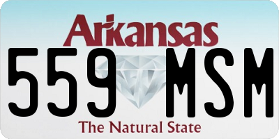 AR license plate 559MSM