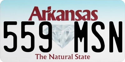 AR license plate 559MSN