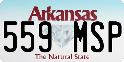 AR license plate 559MSP