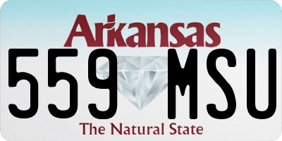 AR license plate 559MSU