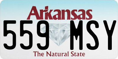 AR license plate 559MSY