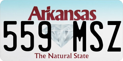 AR license plate 559MSZ