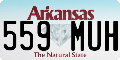 AR license plate 559MUH