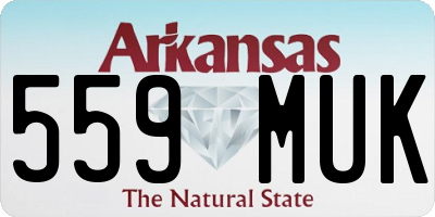 AR license plate 559MUK