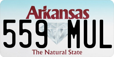 AR license plate 559MUL