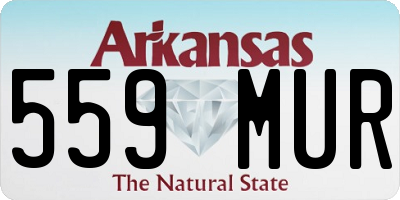 AR license plate 559MUR