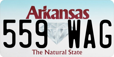AR license plate 559WAG