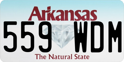 AR license plate 559WDM