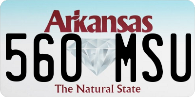 AR license plate 560MSU