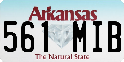 AR license plate 561MIB