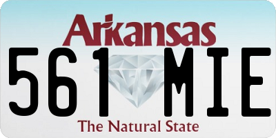 AR license plate 561MIE