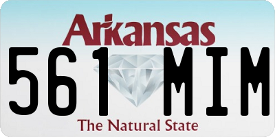 AR license plate 561MIM