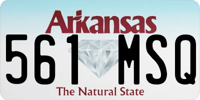 AR license plate 561MSQ