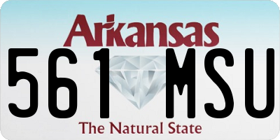 AR license plate 561MSU