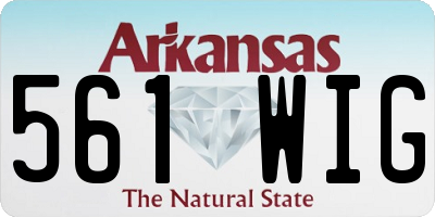 AR license plate 561WIG