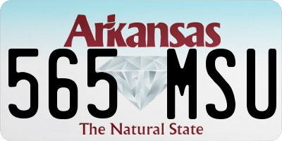 AR license plate 565MSU
