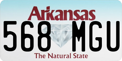 AR license plate 568MGU