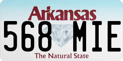 AR license plate 568MIE