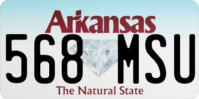 AR license plate 568MSU