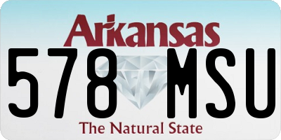 AR license plate 578MSU