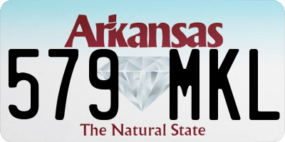 AR license plate 579MKL