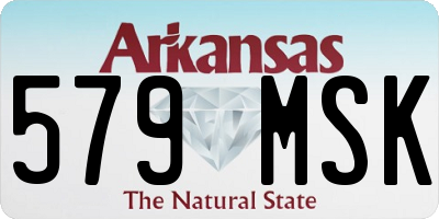 AR license plate 579MSK