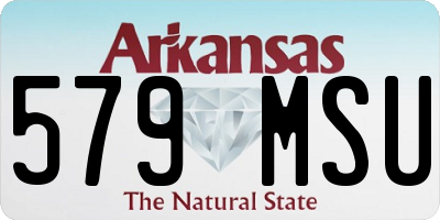 AR license plate 579MSU