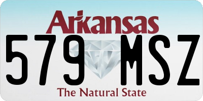 AR license plate 579MSZ